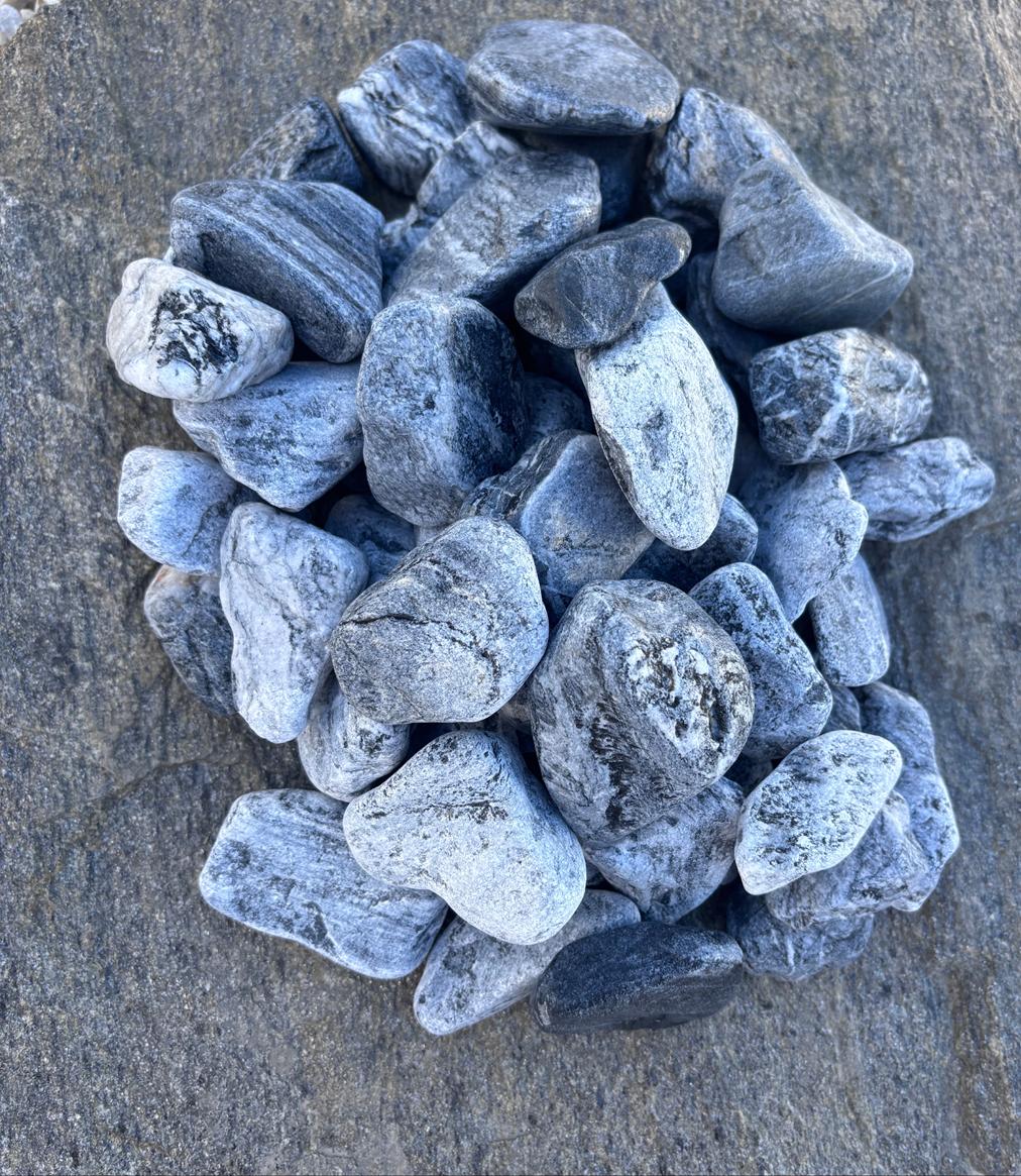 Otoczak srebrny Silver